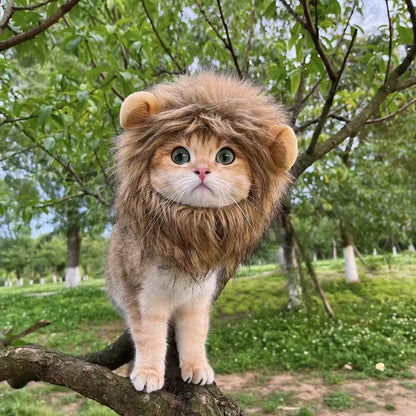 Funny Pets Clothes Cap Cute Cat Wig Lion Mane Costume Cosplay Kitten Dog Hat with Ears Fancy Party Supplies