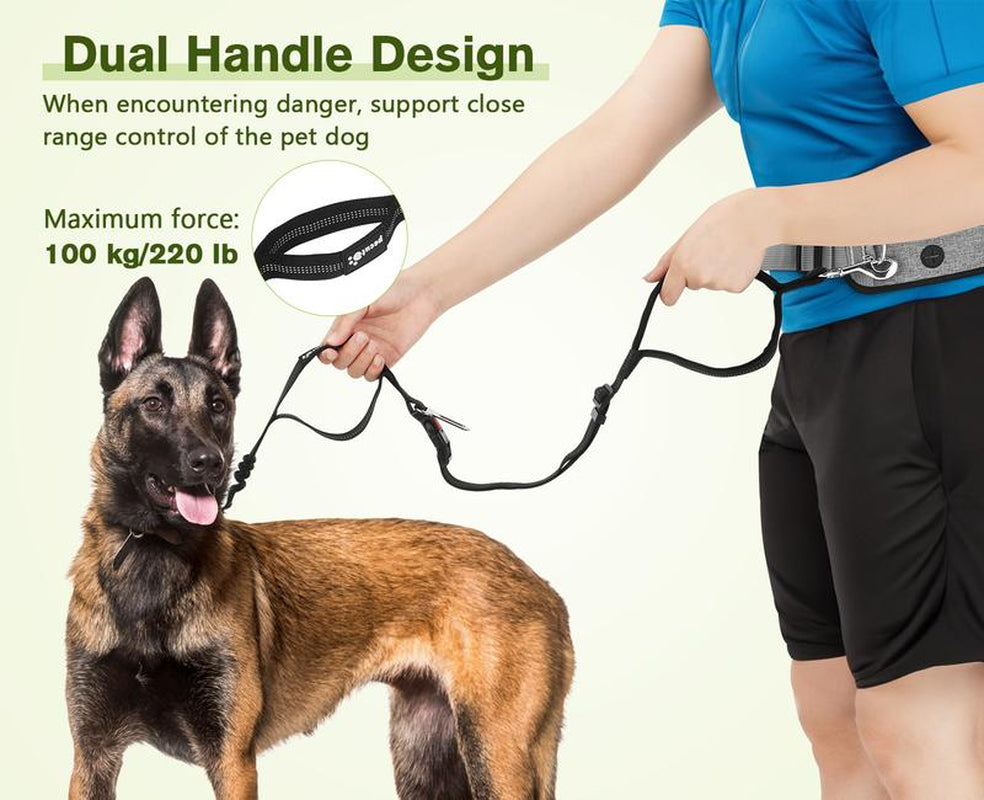 Pecute Hands Free Dog Leash with Pouch, Waist Belt Fanny Pack with Soft Padds, Dual Padded Handles and Durable Bungee (Up to 220Lbs)