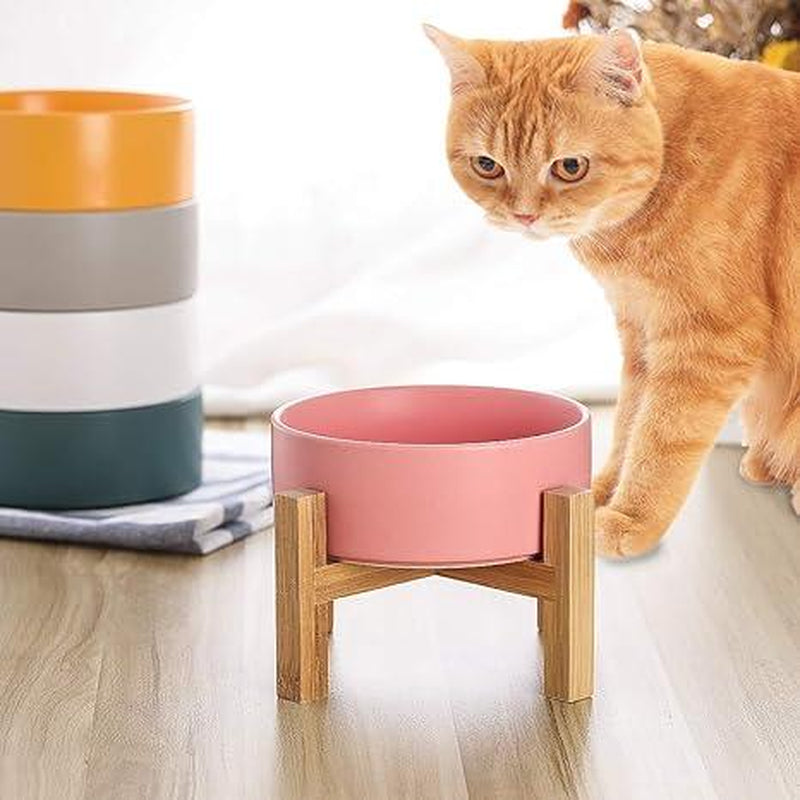 5.9 Inch Shallow Elevated Cat Bowls, Wide Raised Ceramic Cat Dishes with Bamboo Stand, Whisker Friendly Pet Water or Food Plates Feeding Station for Indoor Cats, Kitten(White,Set of 2)